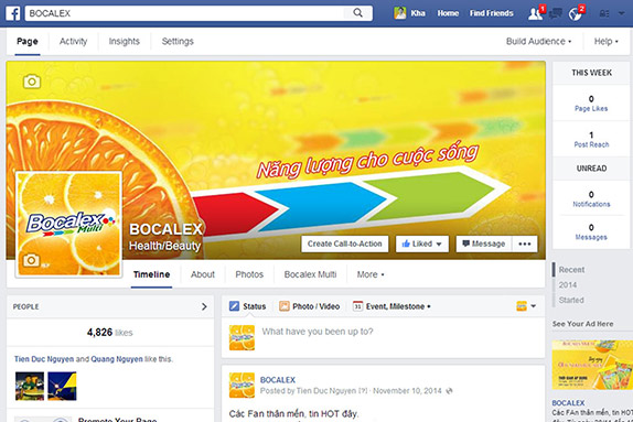 Fanpage Development / Facebook Ads