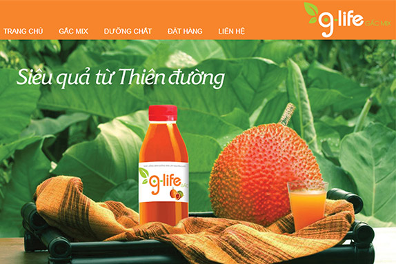 Website / Mobile (Responsive) / SEO