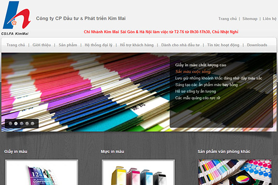 Website / SEO